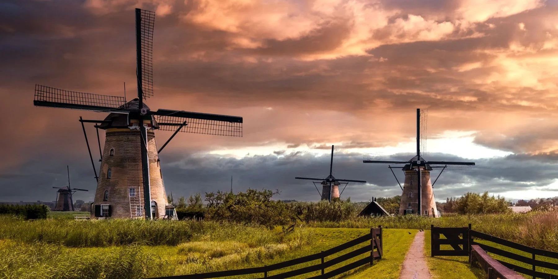 Three windmills in a field with a dramatic sky during sunset in The Netherlands