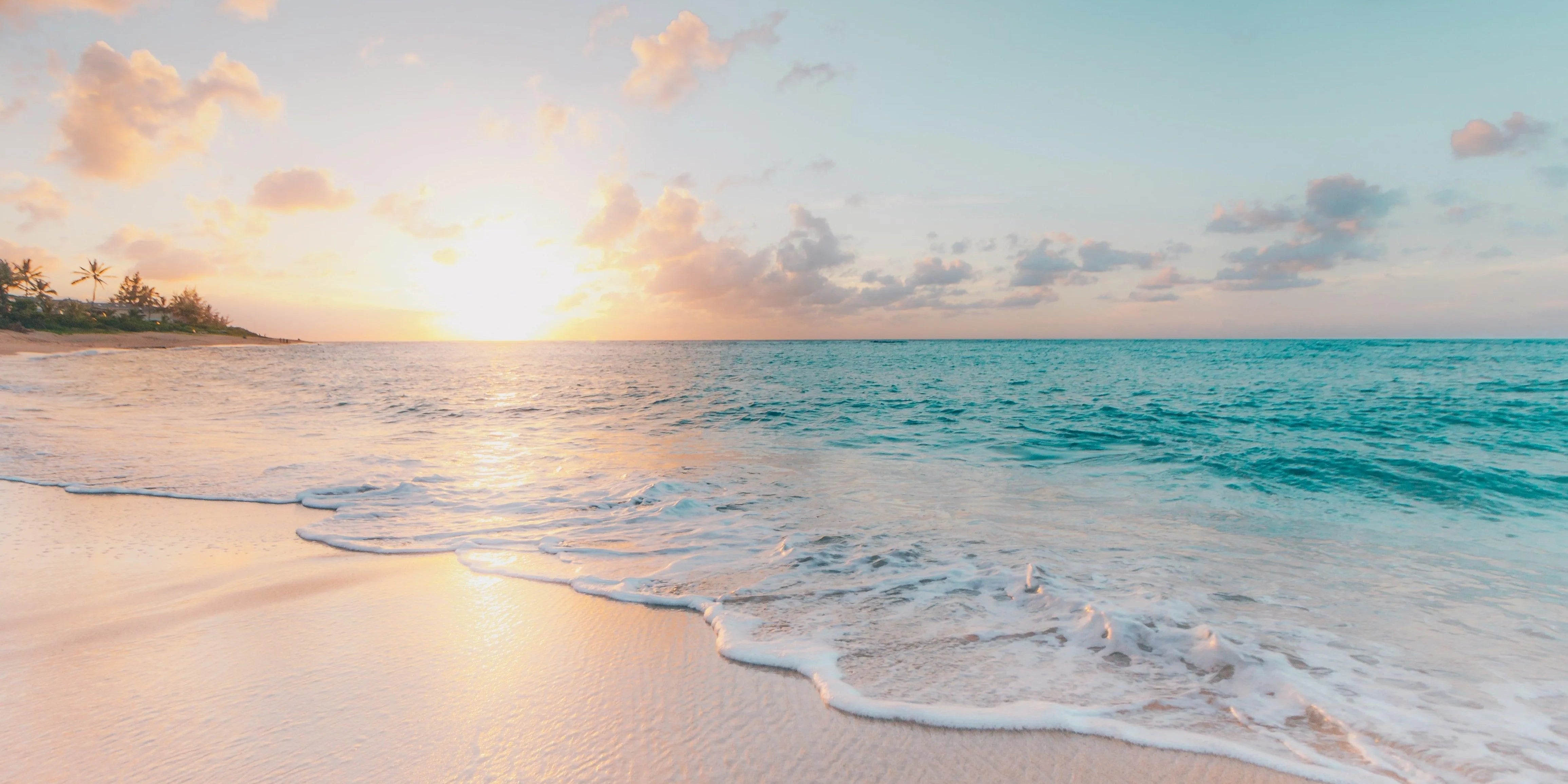 Hawaiian Tropical Bliss Collection - The Global Wanderer