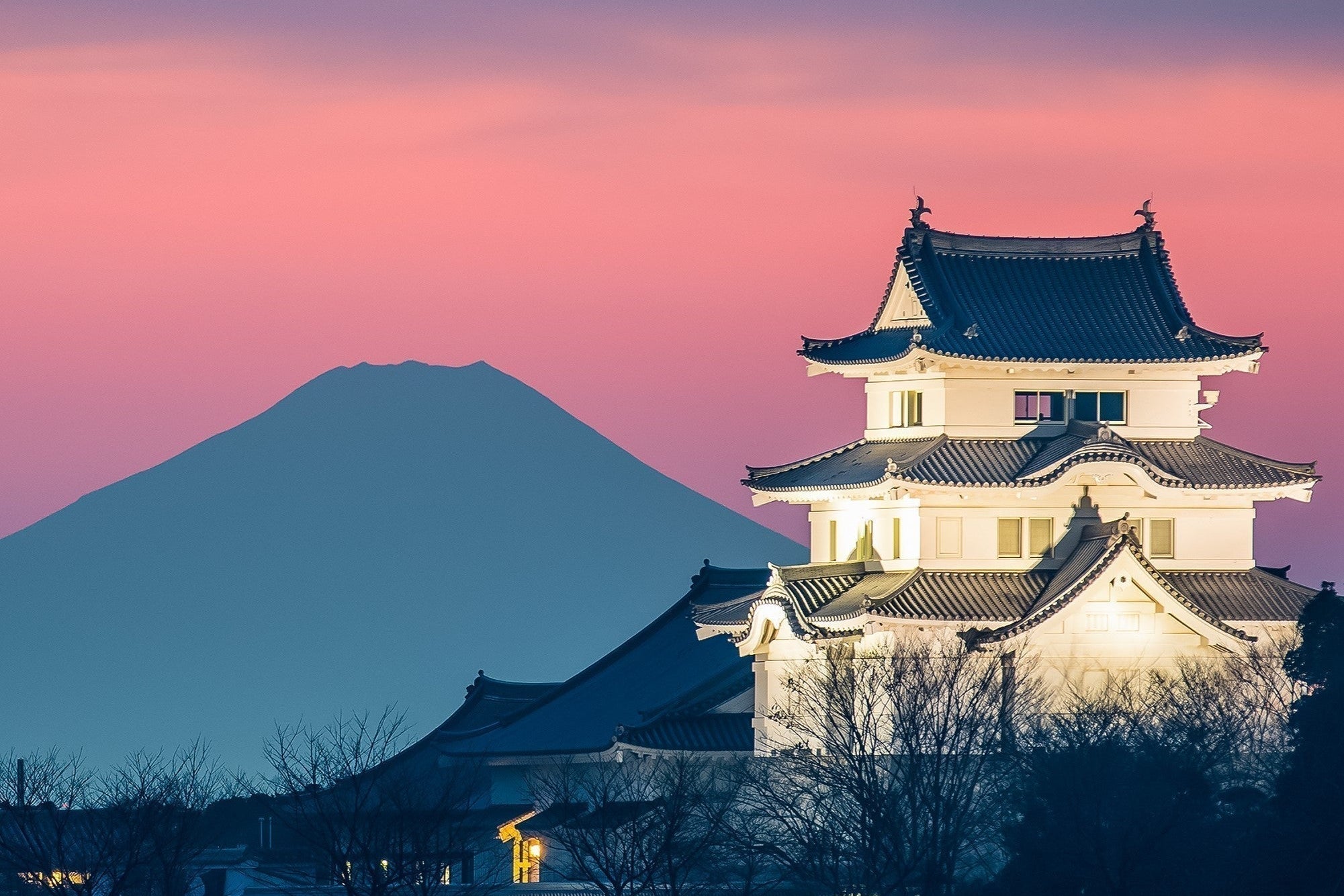 Japanese Shibori Collection - The Global Wanderer