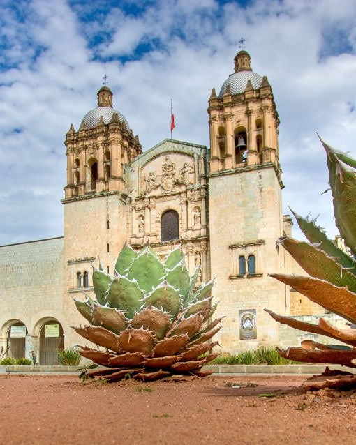 Mexican Serape Collection - The Global Wanderer