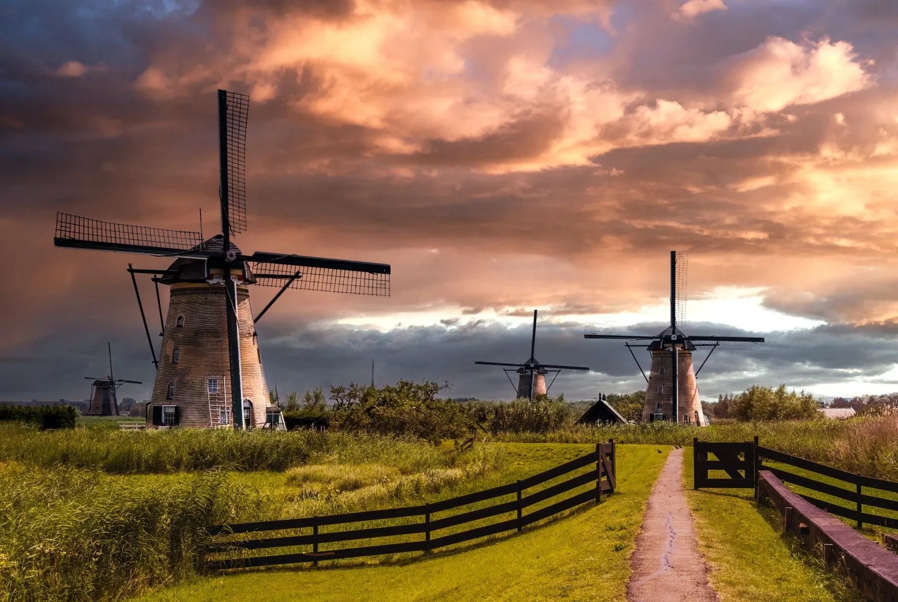 Dutch Delft Tile Collection - The Global Wanderer