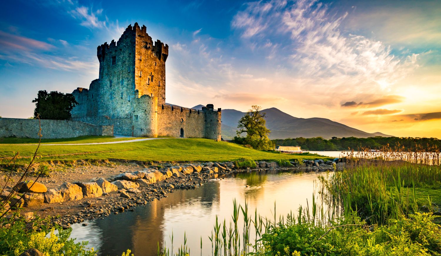 Irish Shamrock Collection - The Global Wanderer