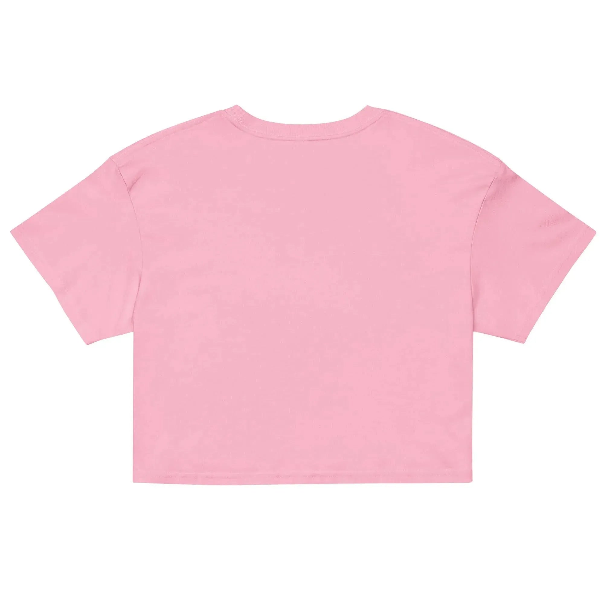 Mexican Otomi Embroidered Cropped T-Shirt - The Global Wanderer