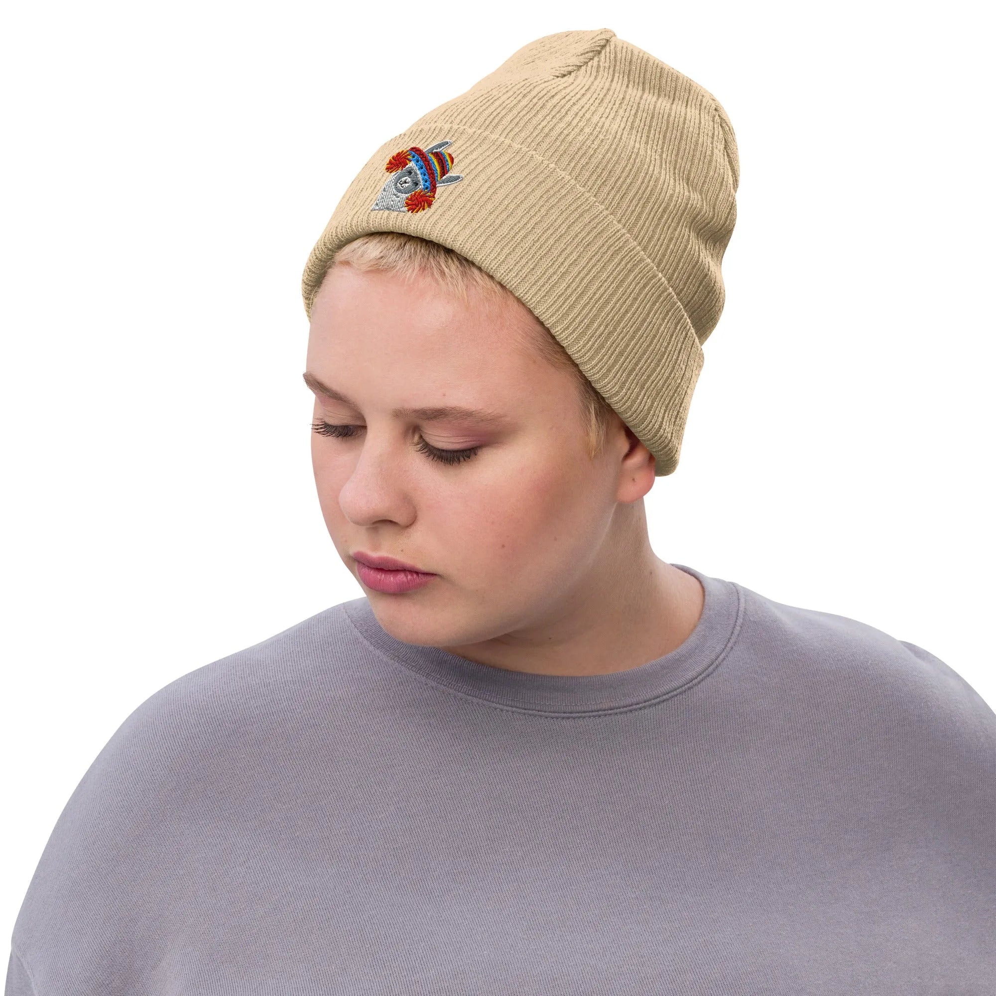 Peruvian Alpaca Embroidered Beanie - The Global Wanderer