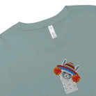 Peruvian Alpaca Embroidered Cropped T-Shirt - The Global Wanderer