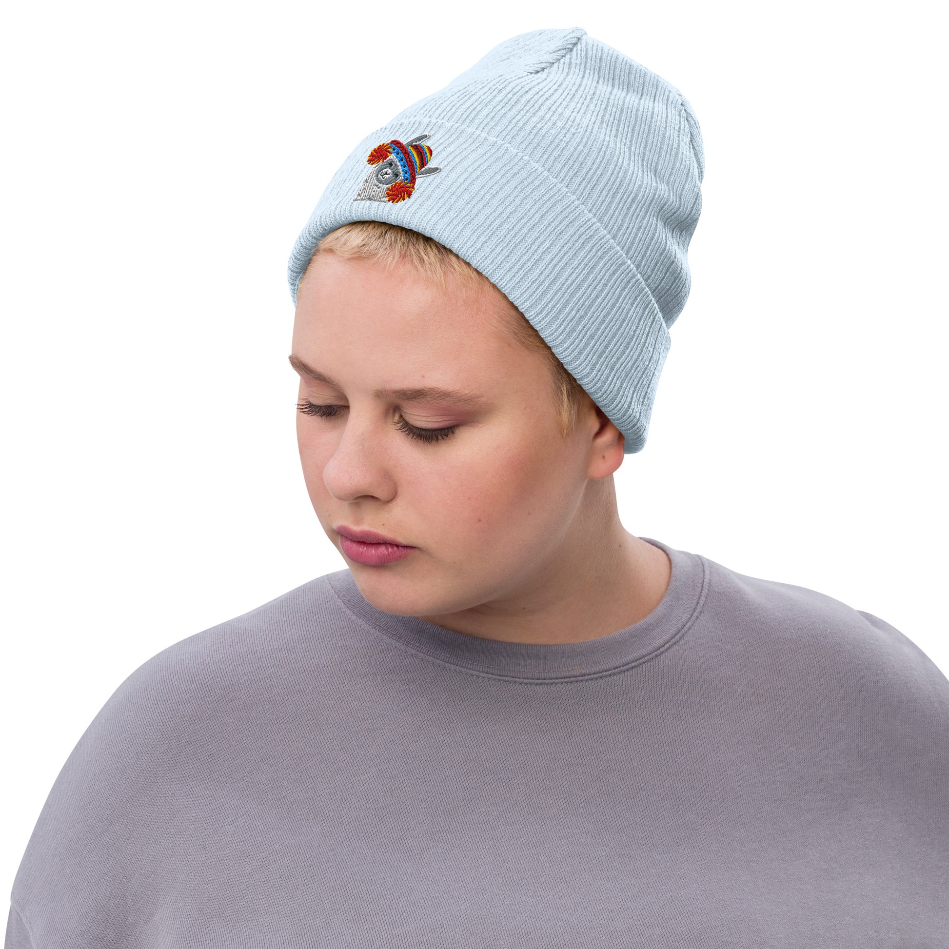 Peruvian Alpaca Embroidered Beanie - The Global Wanderer