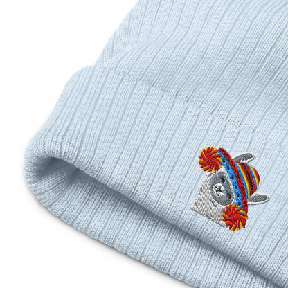 Peruvian Alpaca Embroidered Beanie - The Global Wanderer