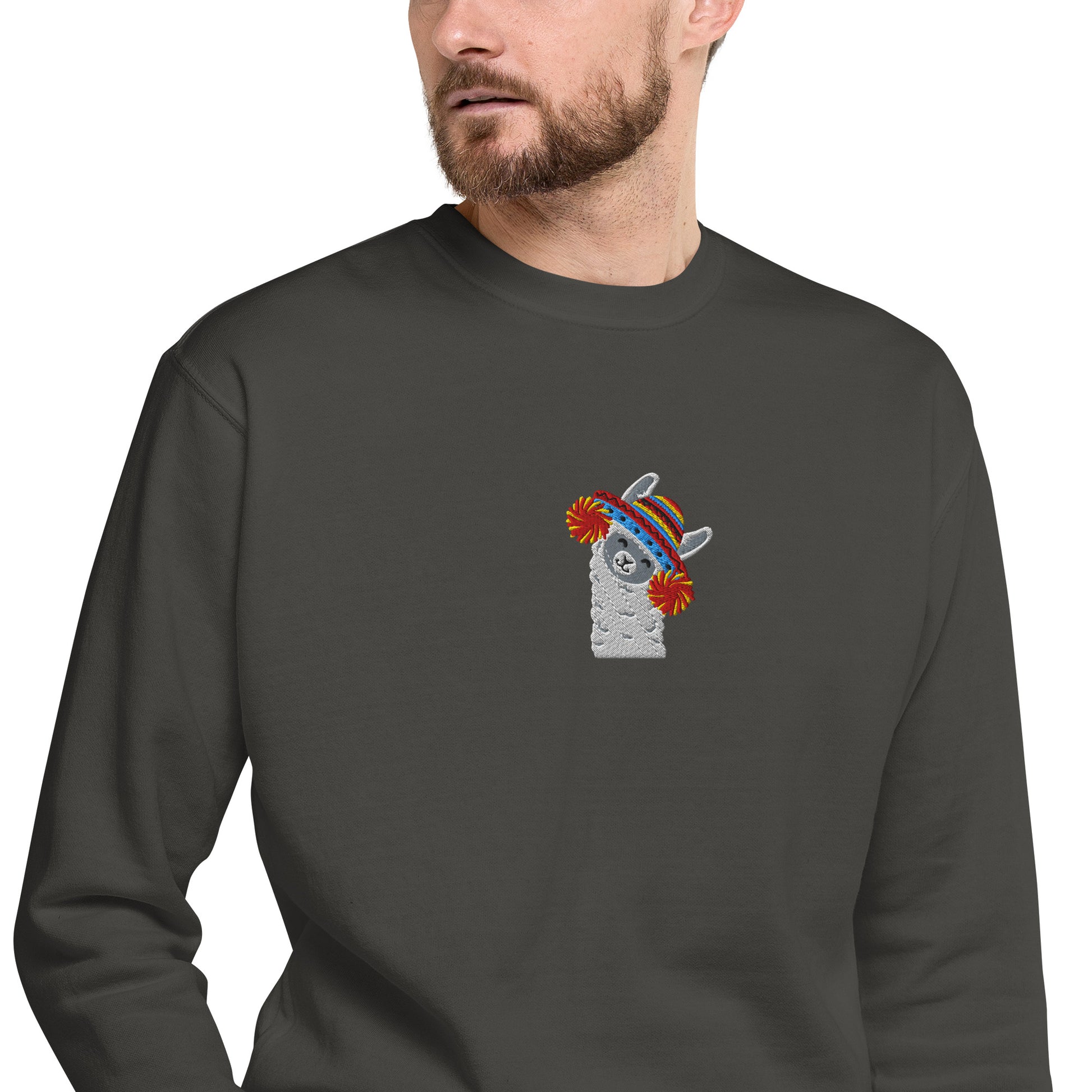 Peruvian Alpaca Embroidered Sweatshirt - The Global Wanderer