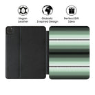 Veracruz Agave Serape iPad Case - The Global Wanderer